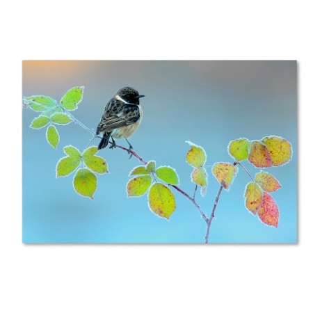 Trademark Fine Art Andres Miguel Dominguez 'Winter Day' Canvas Art, 16x24 1X03021-C1624GG